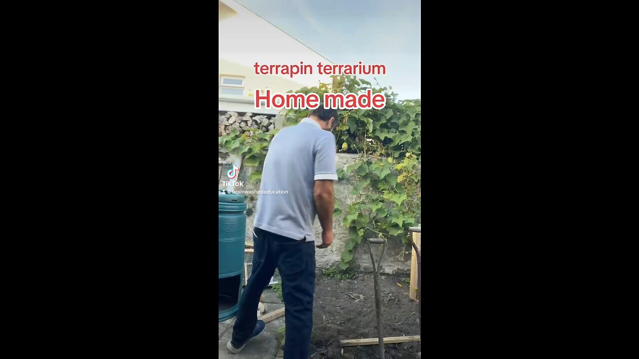 Terrapin n2