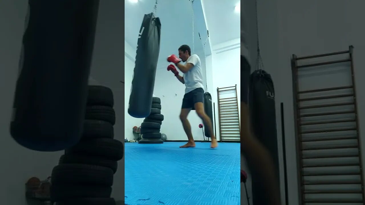 Punch And Elbow The Bag (7)