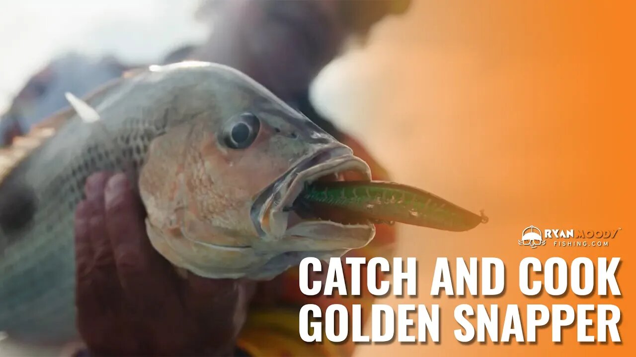 Catch and Cook Northern Australia - species Fingermark or Golden Snapper