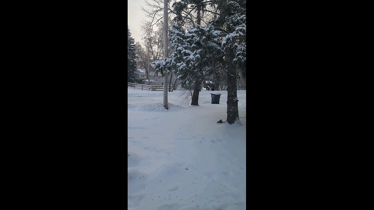 good morning from Mohall, ND