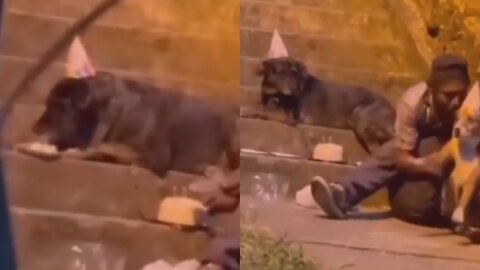 A homeless man hosting his dog's birthday. I appreciate it very much