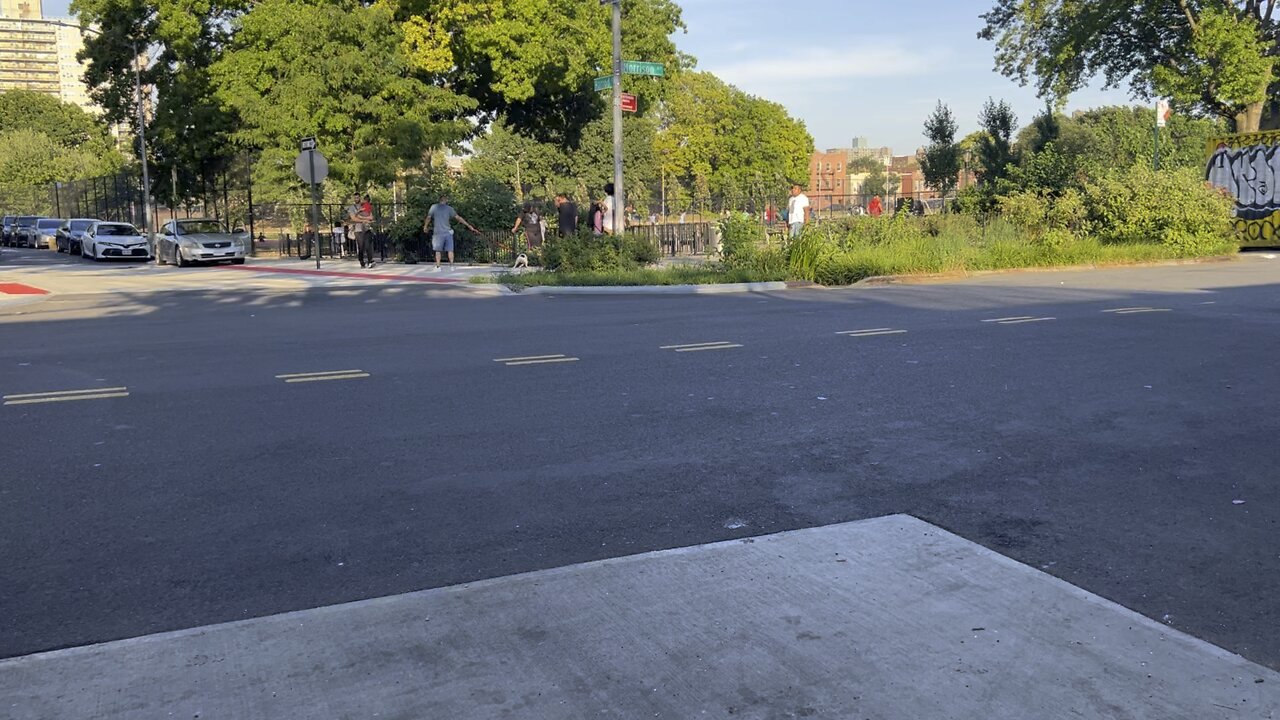 Dog play on the street