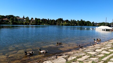 Beautiful lake and nature always present