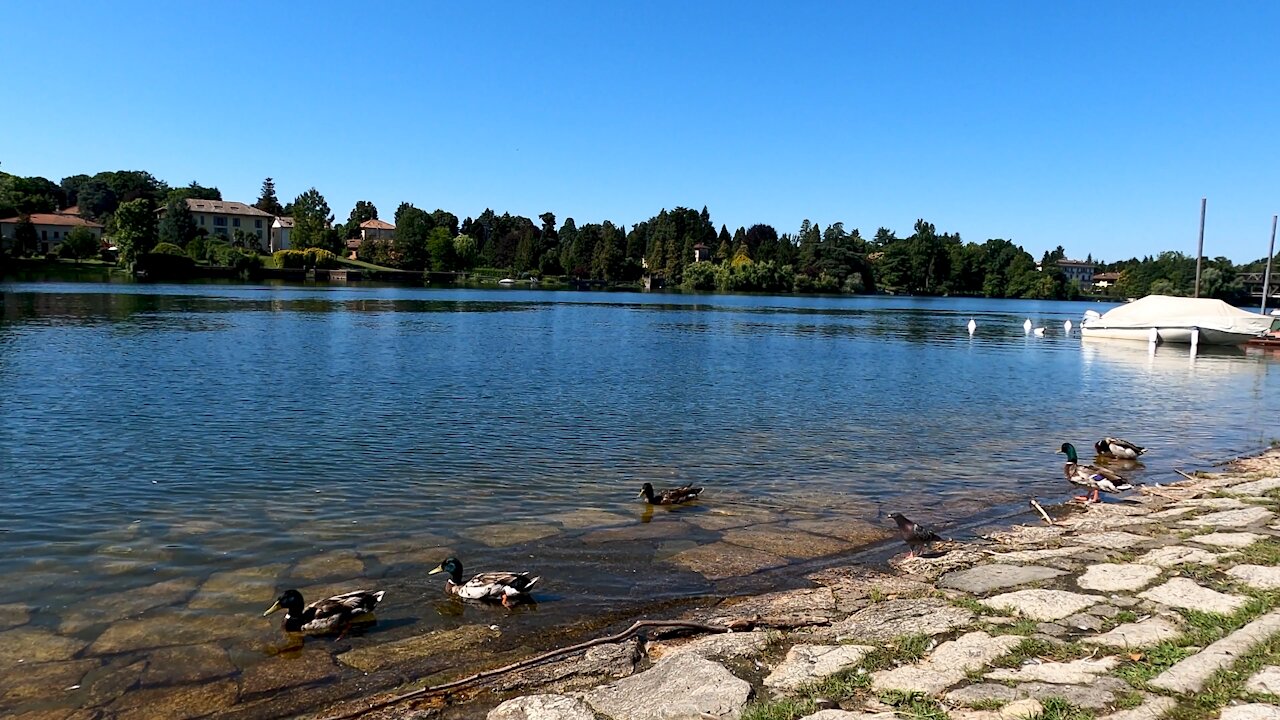 Beautiful lake and nature always present