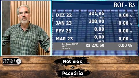 Boi gordo tem queda no mercado físico mas sobe na B3 para janeiro. Oportunidades?