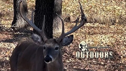 Yard Bucks of Twin Eagle Ranch! December 28th