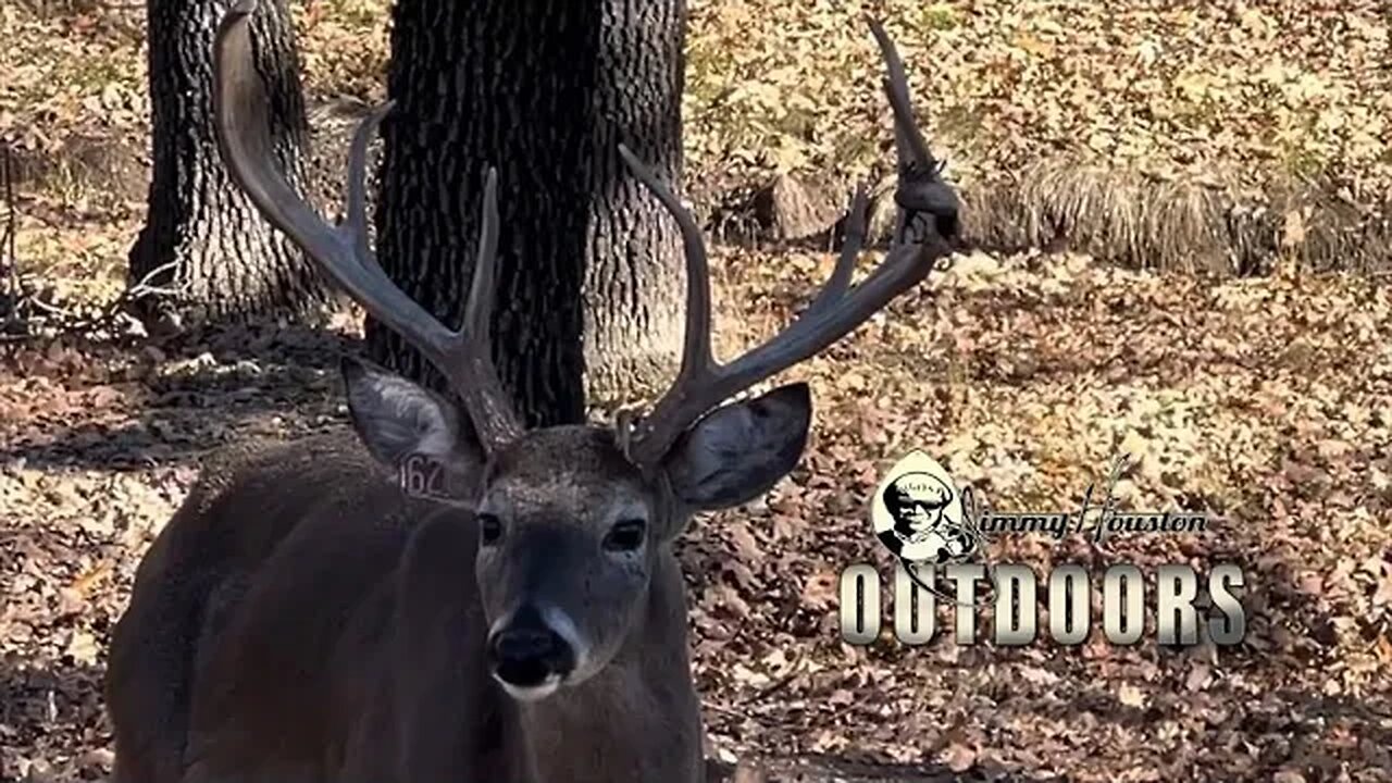 Yard Bucks of Twin Eagle Ranch! December 28th