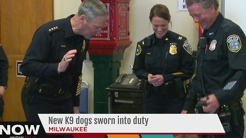 Meet Enox and Kass: Milwaukee Police Department swears in two new K-9 officers
