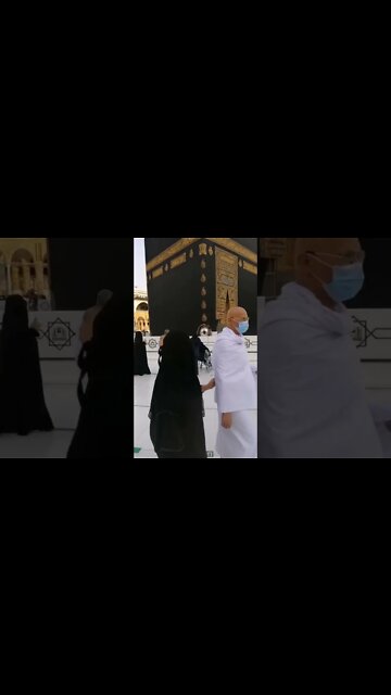 Most Amazing and trending video||relaxing your mind||trendig videos|| #shorts #trending #viral #live