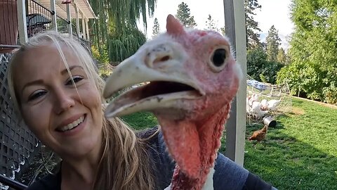 Will They Be Ready By Thanksgiving?