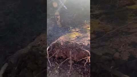 This Bench Got Destroyed!