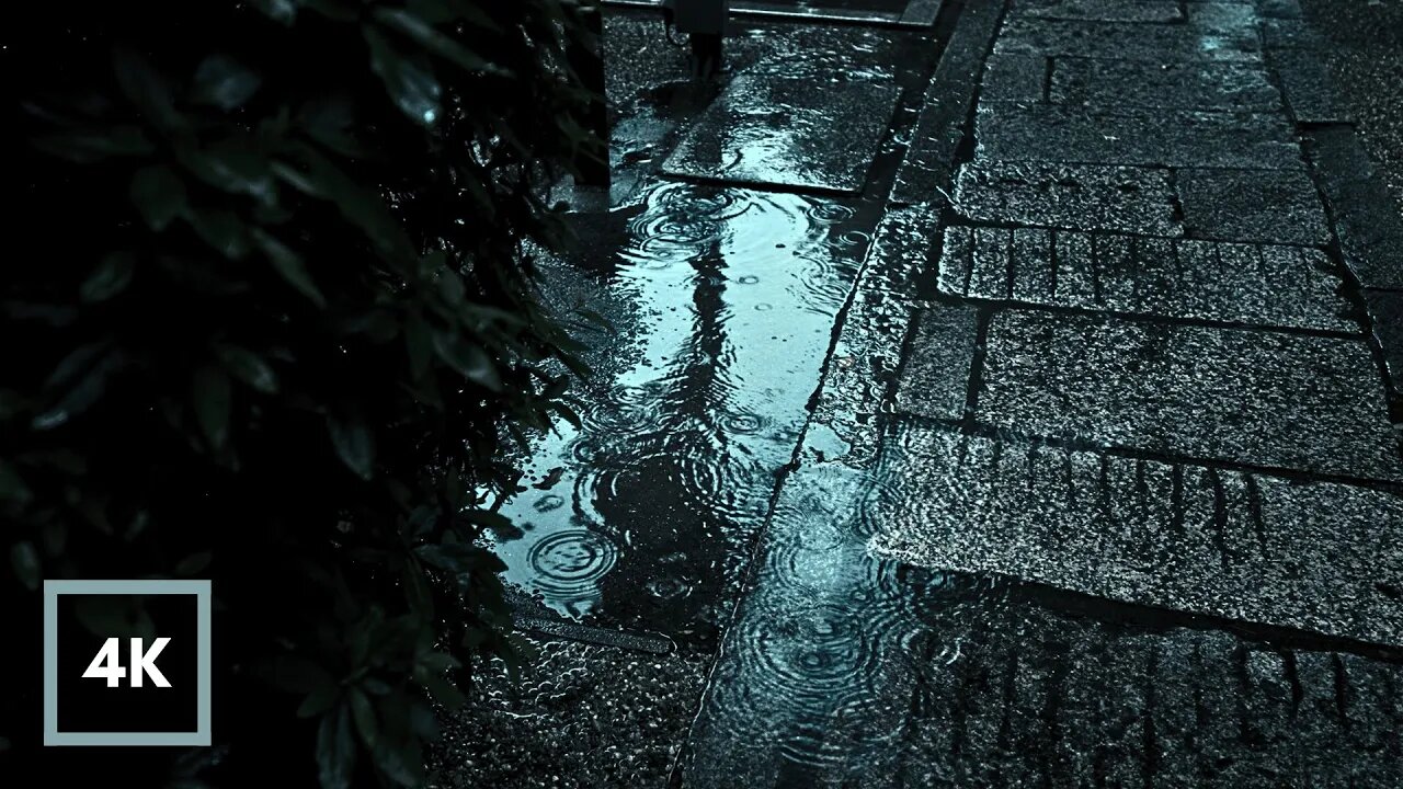 Rain on Path to Sleep Well | Rain Sounds for Insomnia Relief, Study or Relaxing