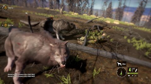 the Hunter: Call of the Wild - Running with the Wolves