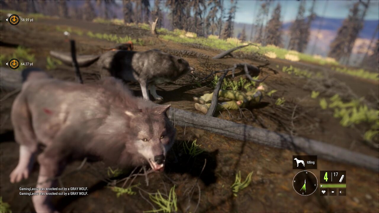 the Hunter: Call of the Wild - Running with the Wolves