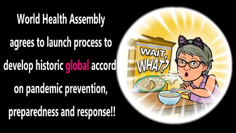 Ready to Give up your Medical Rights To The World Health Organization?