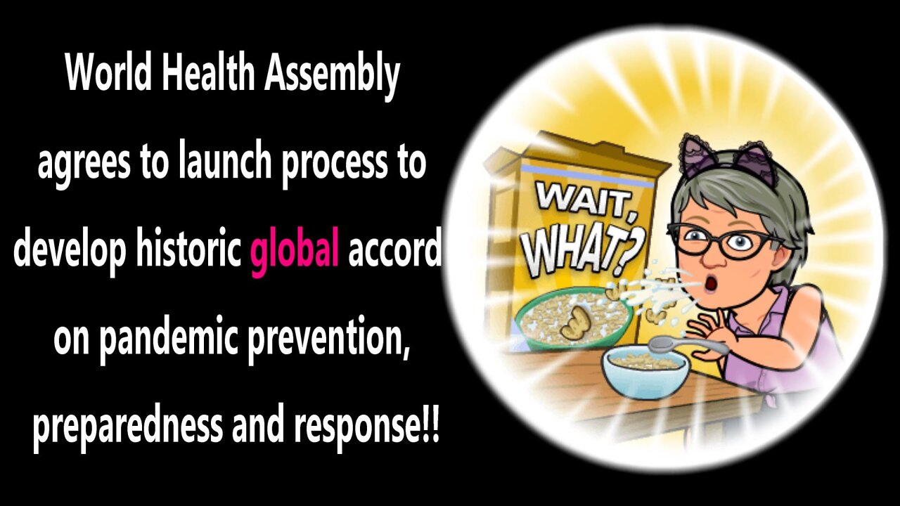 Ready to Give up your Medical Rights To The World Health Organization?