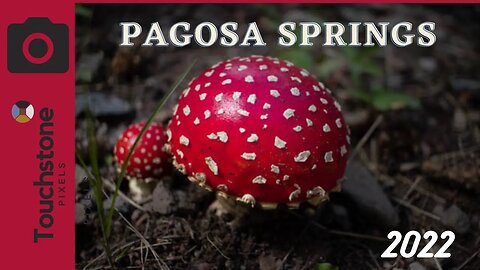 Pagosa Springs, Colorado - 2022 Photography Adventure - Landscapes and Macro