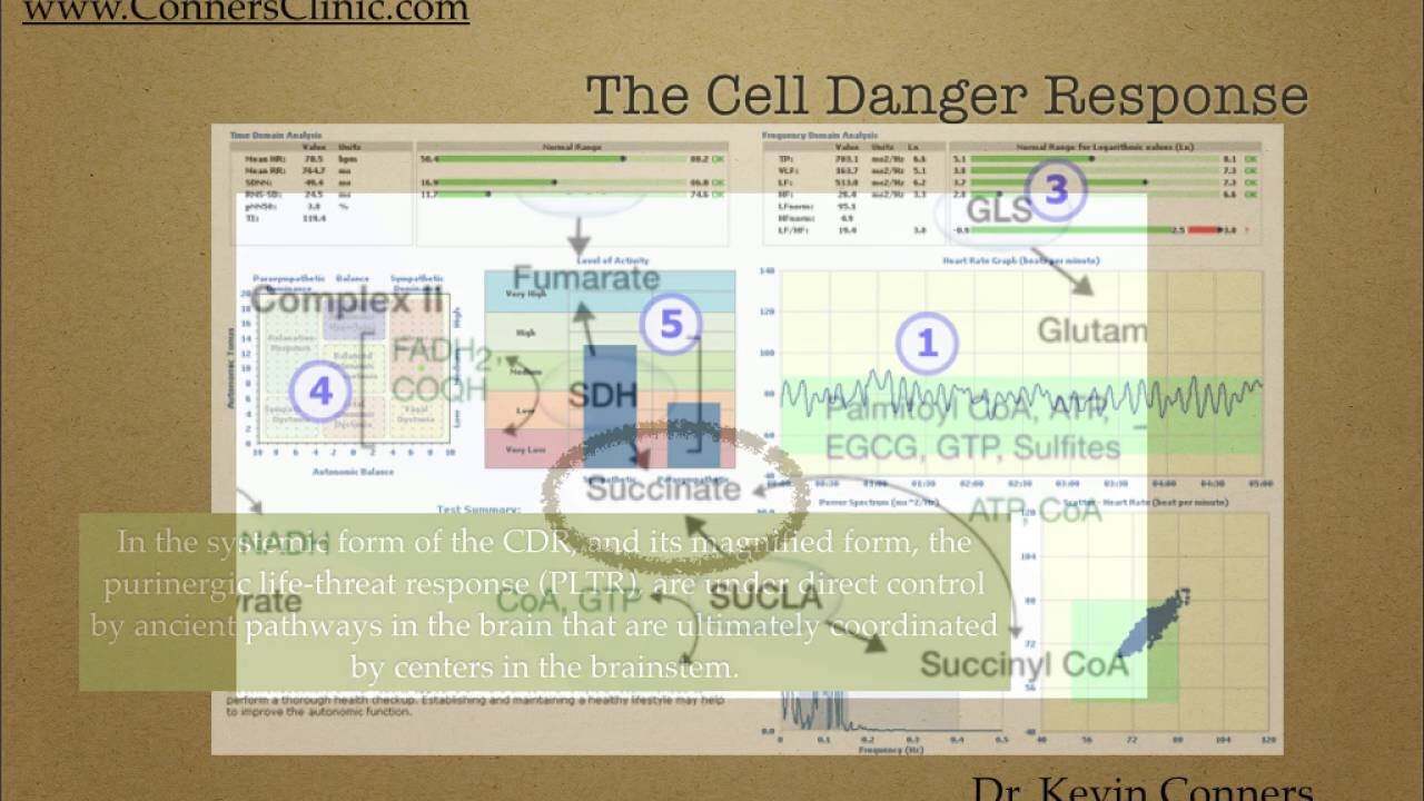 Cell Danger 101 Dr. Kevin Conners