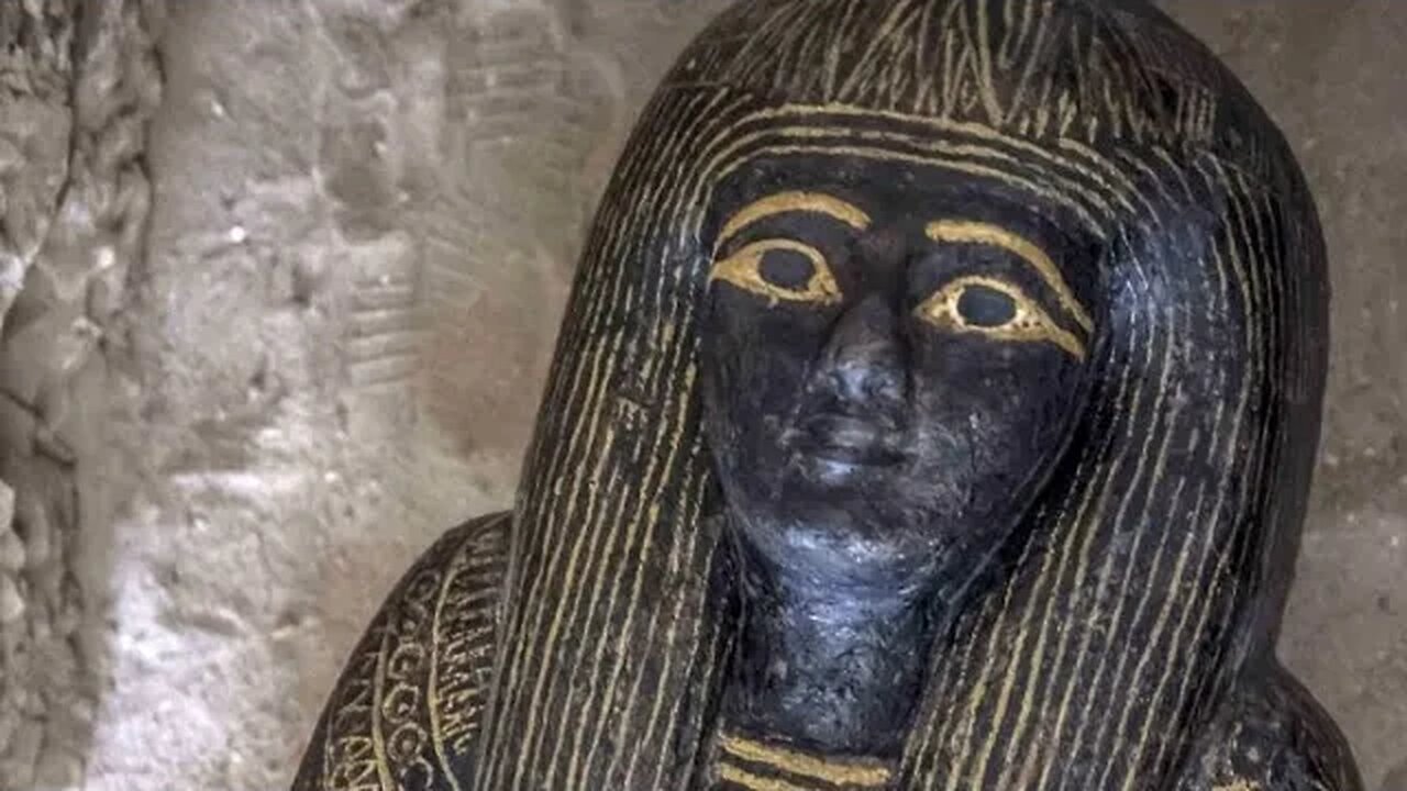 Sister T to be released today, things she should do on her first day out!