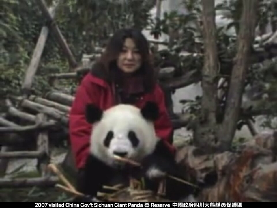 2007 visited China Gov’t Sichuan Giant Panda 🐼 Reserve