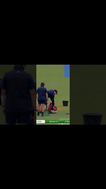 Cricket Players Don't Play Around