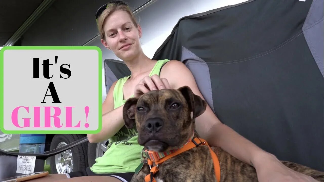 Wagner, Party of 4/Adopting A New Pack Member!| RV Life
