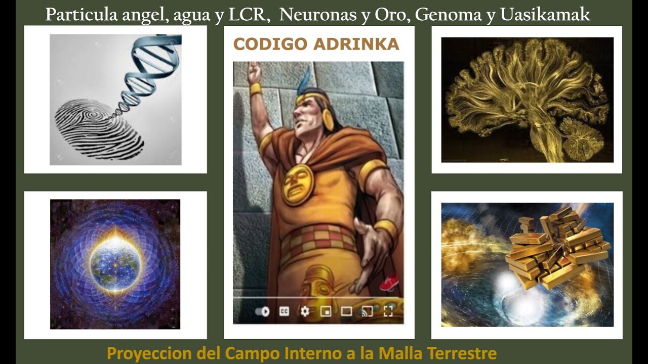 CODIGOS ADINKRA: particula angel, Red neural de oro, genetica cuantica y la creación de la realidad.