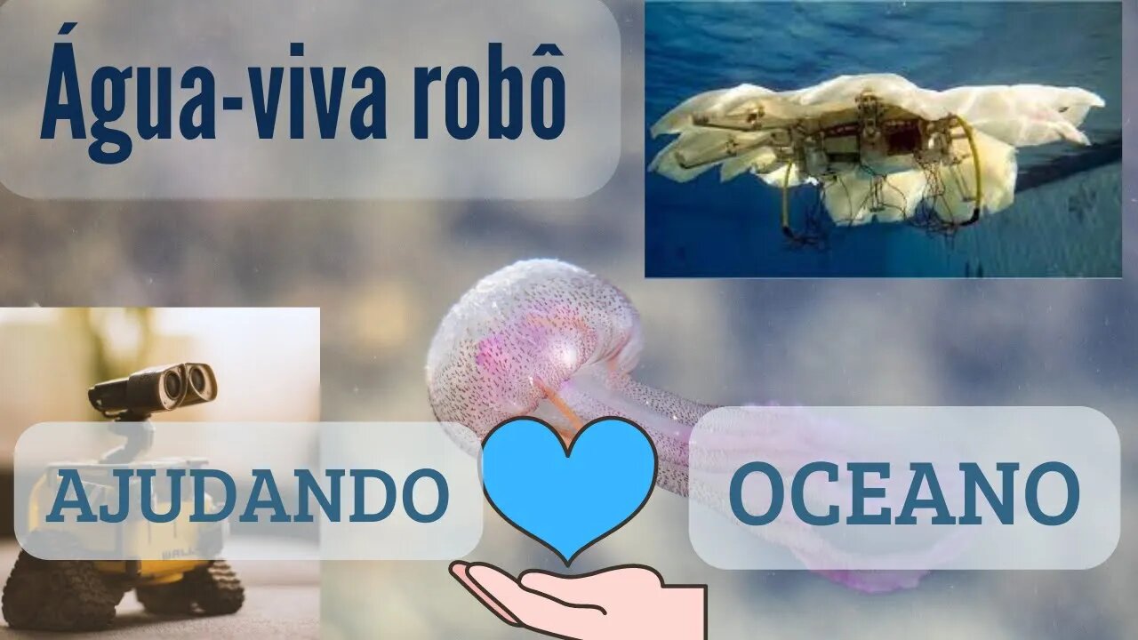 Água viva robô ajudando nos mares, SAIBA COMO!!!!!!