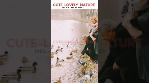 CUTE ANIMALS | RELAX YOUR MIND | CUTE LOVELY NATURE #shorts