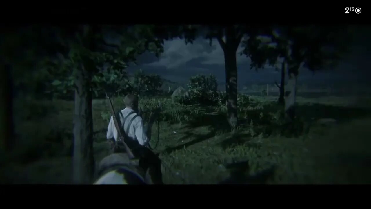 RED DEAD REDEMPTION II pc gameplay part 43