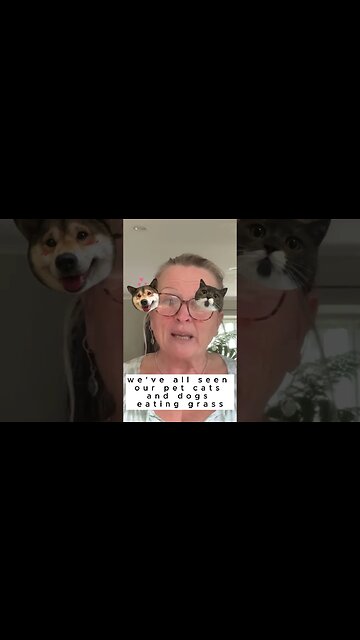 The HyperCarnivore Diet - What does that mean?