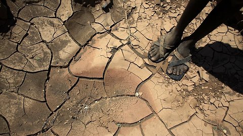 The UN Says Global Hunger Is On The Rise, Thanks To Climate Change