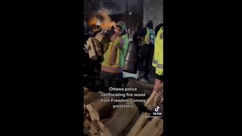 The Ottawa police confiscating fire wood from Freedom Convoy protesters
