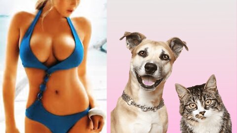 #Funniest #Cats and #Dogs Compilation 🐶🐱