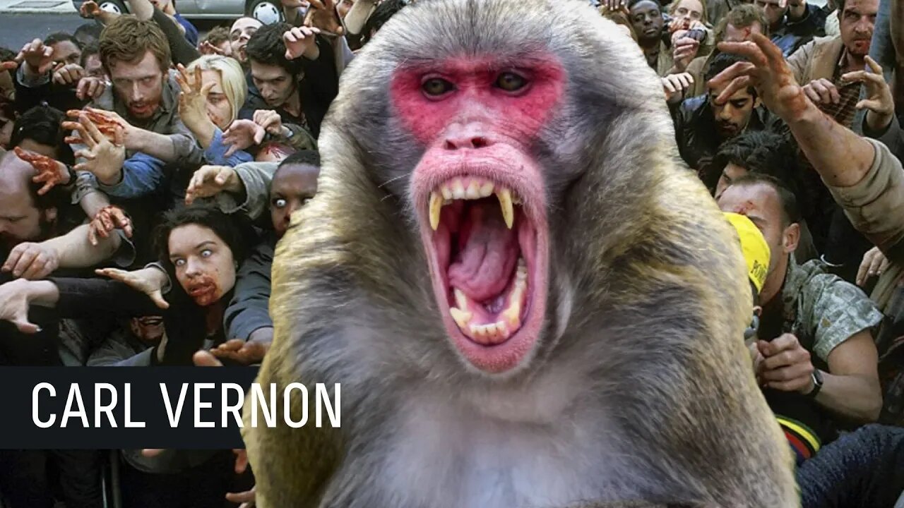 Who’s ready for the zombie apocalypse?