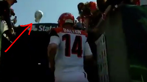 Pissed Off Bengals Fan Throws His Hat at Andy Dalton