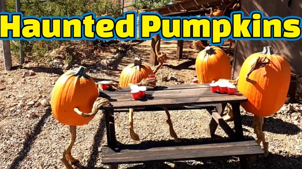 Haunted Pumpkin Hunting and carving at the haunted ghost town of Vulture City, Arizona