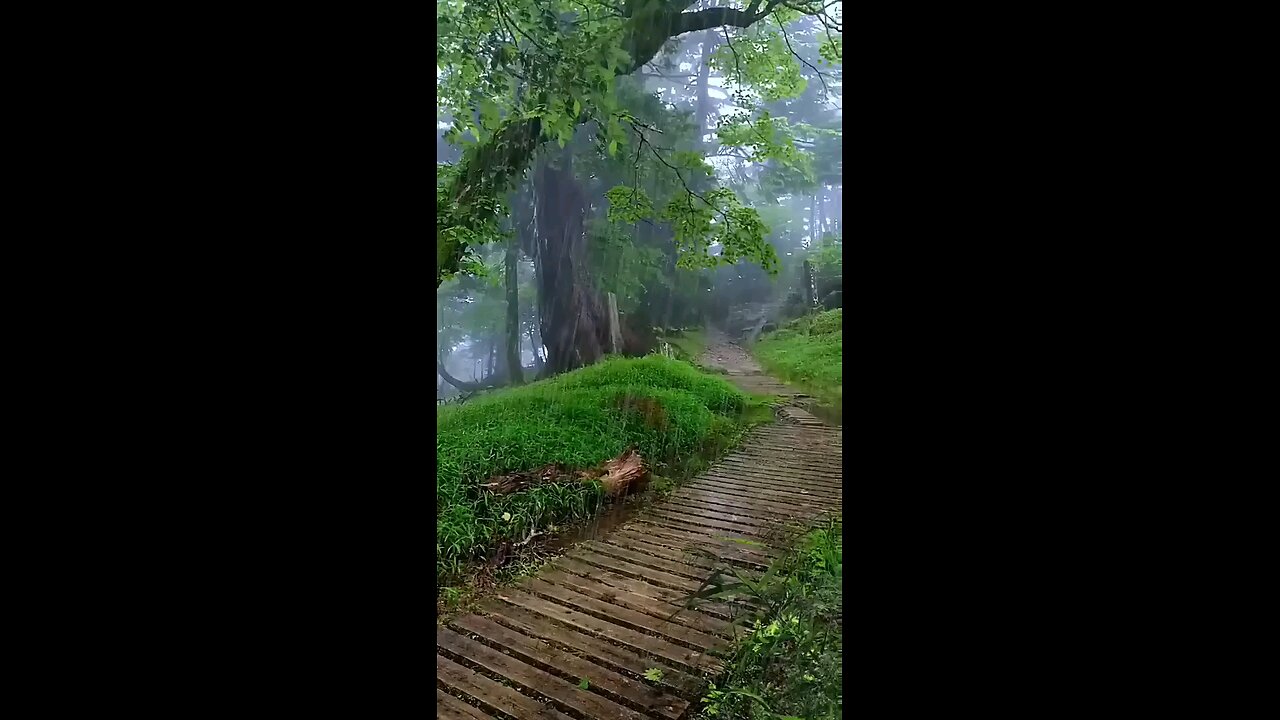 beautyfull view of rain