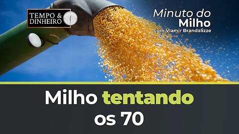 Milho tentando os 70