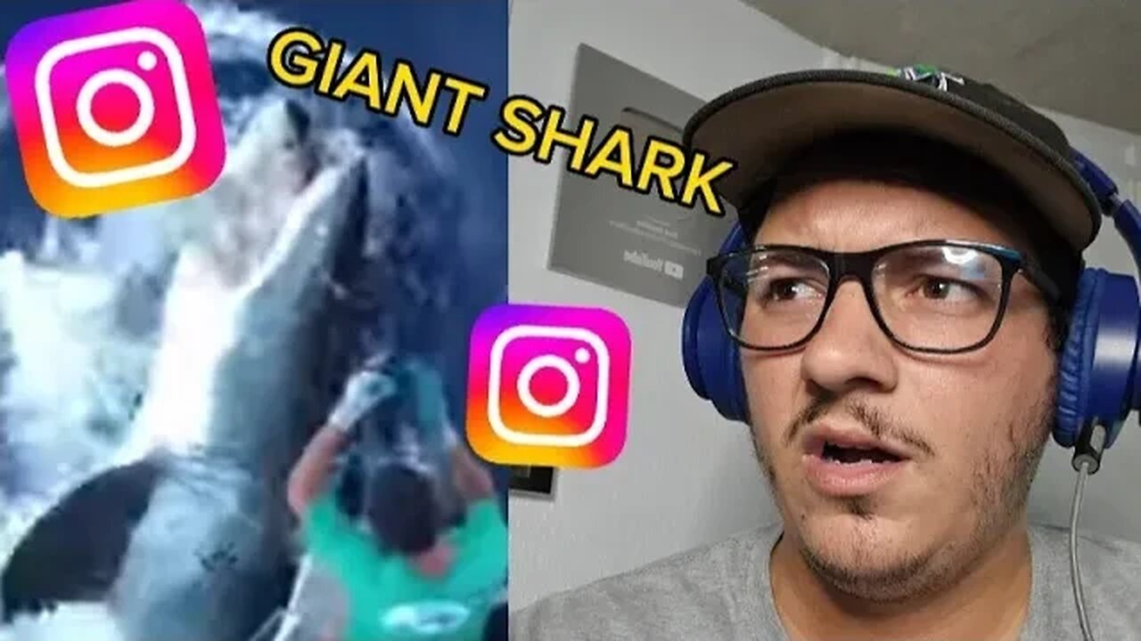 Watching Viral Instagram Animal Reels