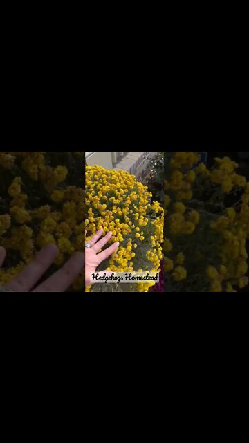 Mom’s looking shabby let me show you how to fix them