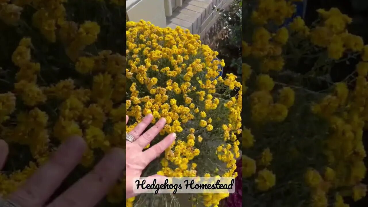 Mom’s looking shabby let me show you how to fix them