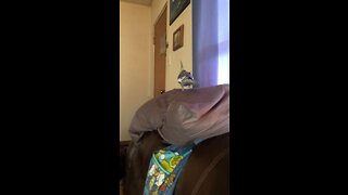 Cocktail Shakes on my pillow