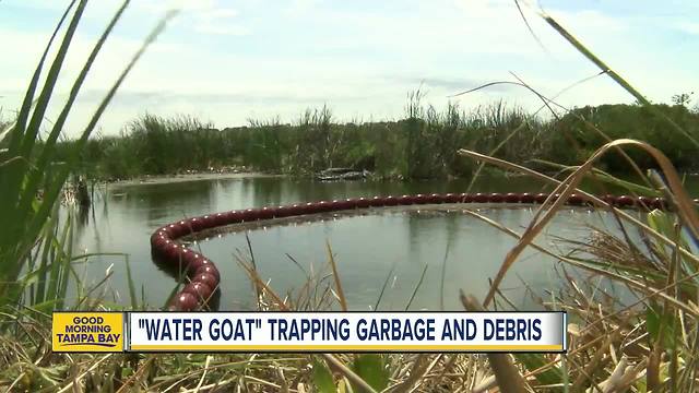 St. Petersburg neighbors suggest watergoat to help keep trash from creek out of Old Tampa Bay