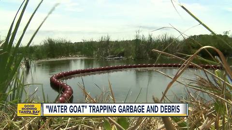 St. Petersburg neighbors suggest watergoat to help keep trash from creek out of Old Tampa Bay