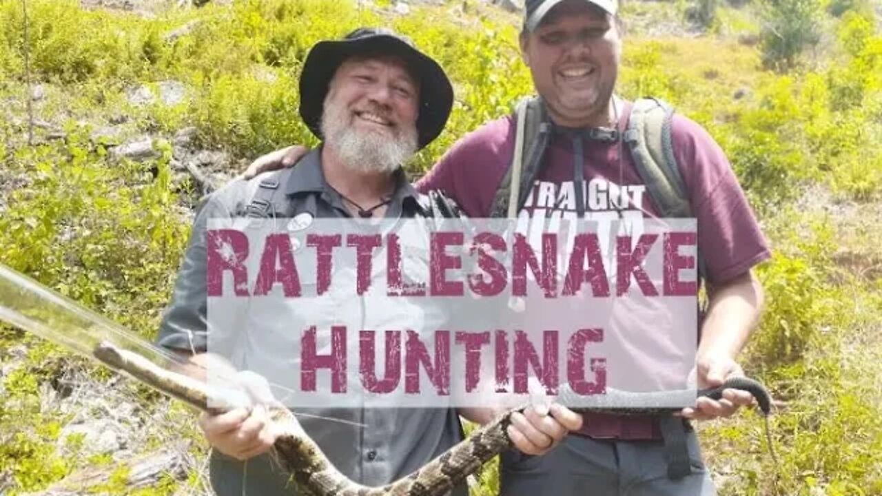 Timber Rattlesnake Hunting in Elk County, Pennsylvania