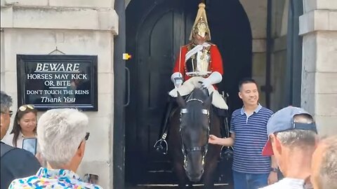 The horse is not as polite as the guard at telling off the tourist's #horseguardsparade