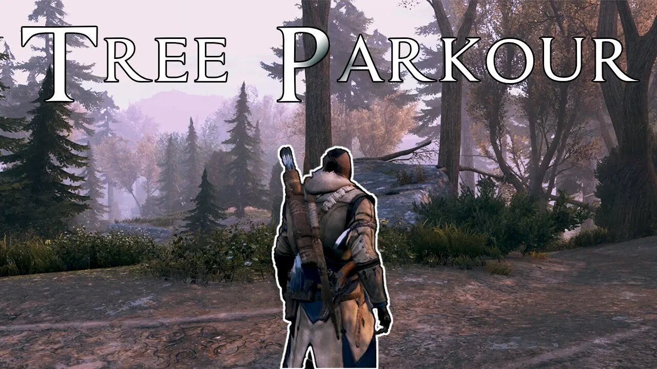 Assassin's Creed 3 tree parkour being top tier for a minute
