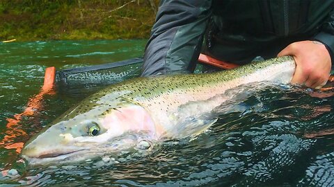 ADX Goes South Full Steelhead Fishing Movie.