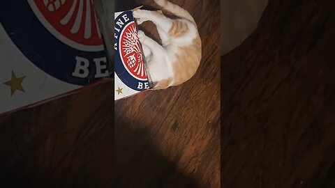 when you're out of beer and you want more